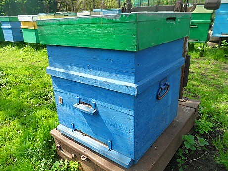 Курсы повышения квалификации пчеловодов и обучение начинающих пчеловодов